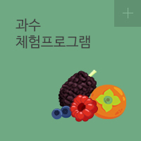 과수 체험 프로그램