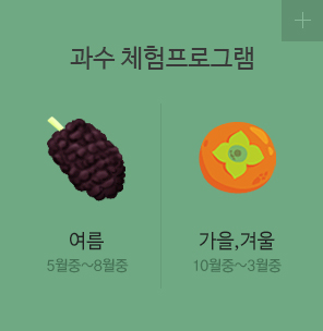 과수 체험 프로그램